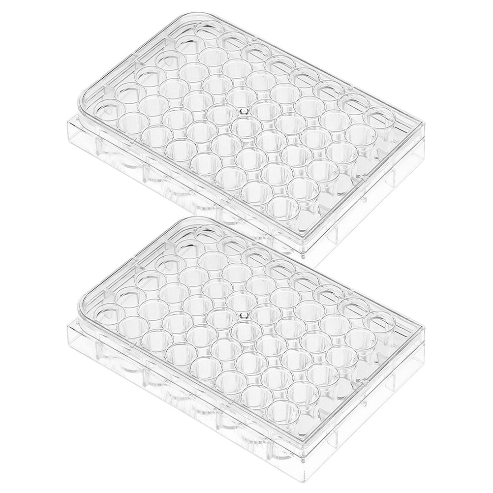 Science Experiment - 2 Placas de Cultivo Celular de