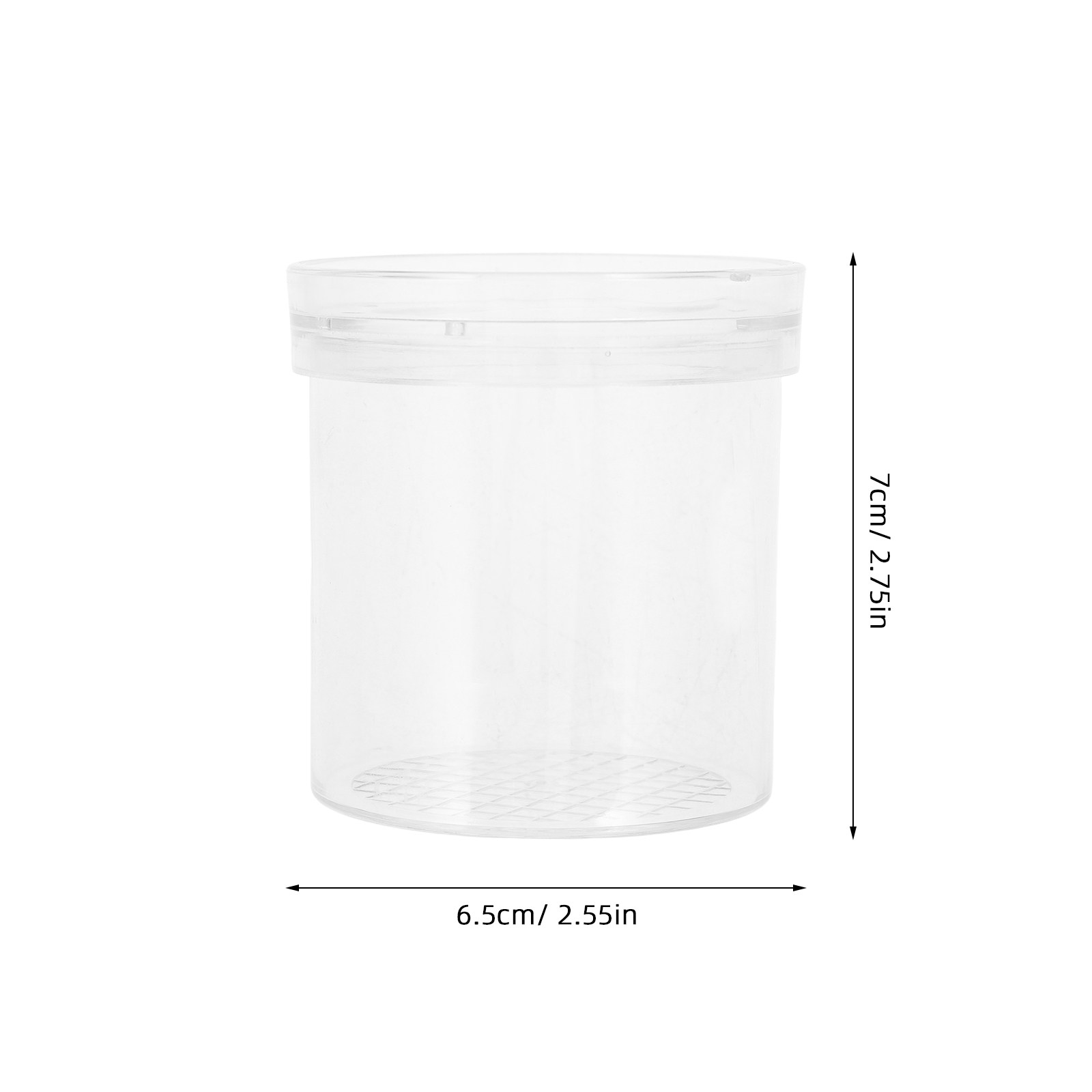 Caja de Observación de Insecto - Science Toy reseña y precio